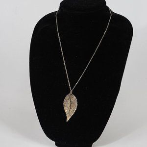 Silver dipped eucalyptus leaf from Australia